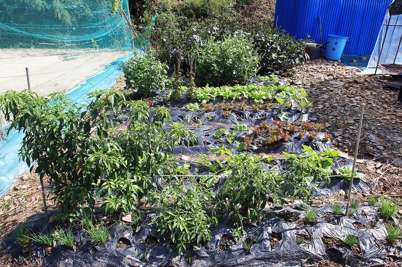 속리산알프스캠핑장&펜션 시설 사진 2