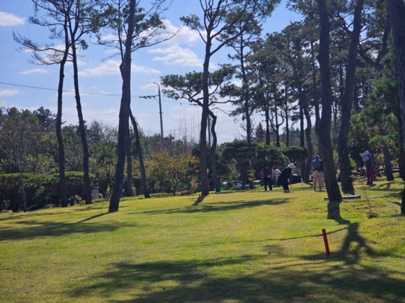 가끔은 계획이 틀어져도 좋다^^ 장성 청솔파크골프장(청솔캠핑장)!