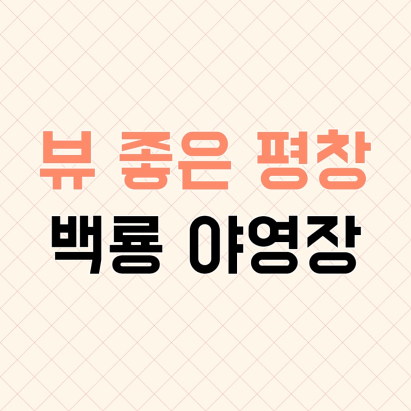 평창 뷰 맛집 백룡 야영장 애견 동반 가능 캠핑장