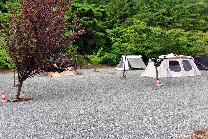 자연애스토리 대표 사진