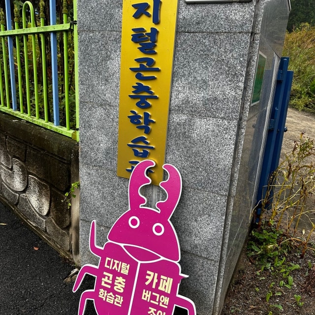 디지털곤충학습관캠프 대표 사진