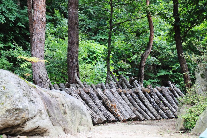 국립검봉산자연휴양림야영장 시설 사진 12
