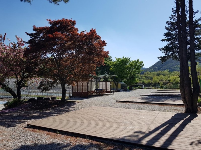 양지마을야영장 시설 사진 2