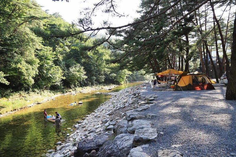 솔밭 캠프장 시설 사진 15