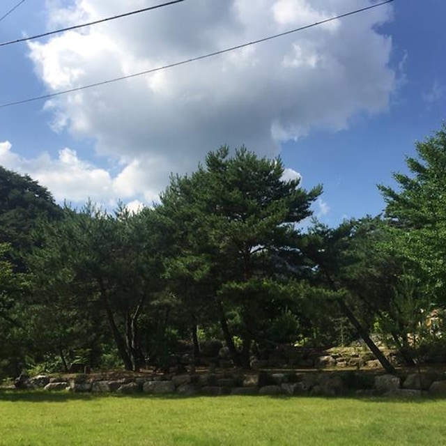 덕동리301캠핑장