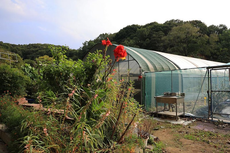 젤코바 캠핑장 시설 사진 13