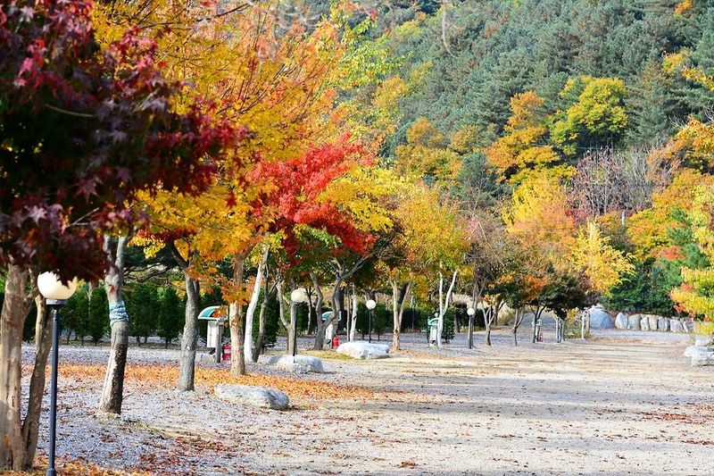 솔바람캠핑장 시설 사진 12