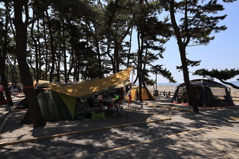 몽산포오토캠핑장 시설 사진 3