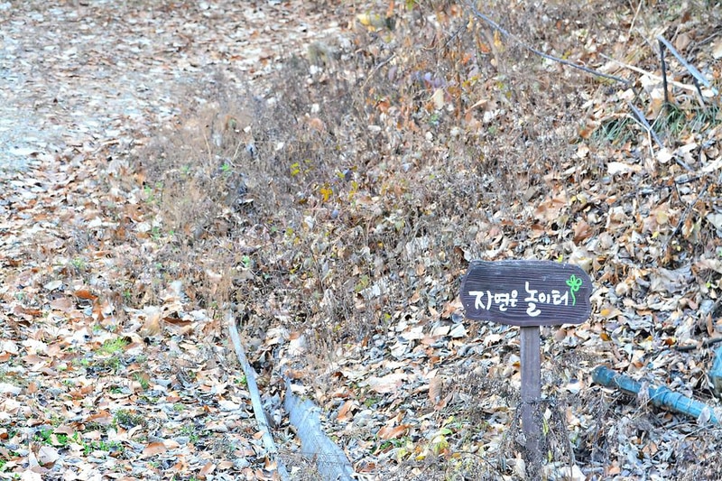 양달캠핑장 시설 사진 11