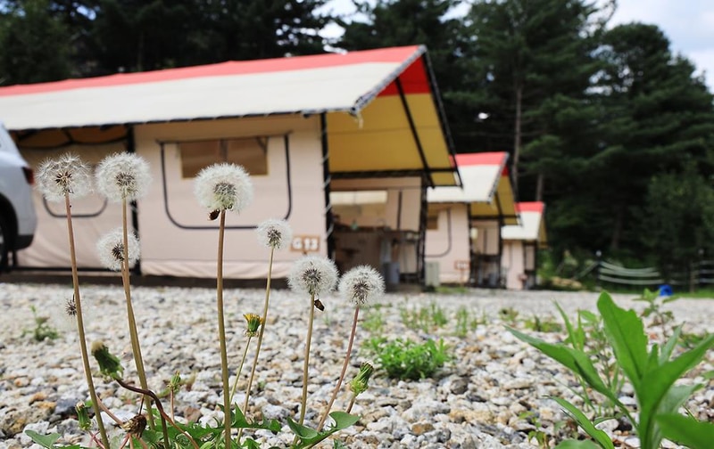 휴랜드관광농원 시설 사진 23