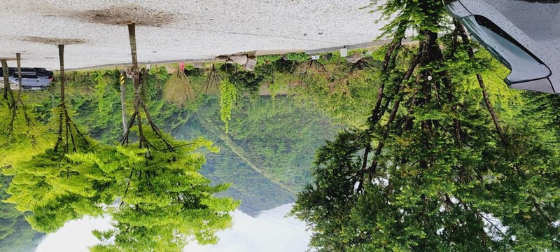 파인트리캠핑장 시설 사진 50