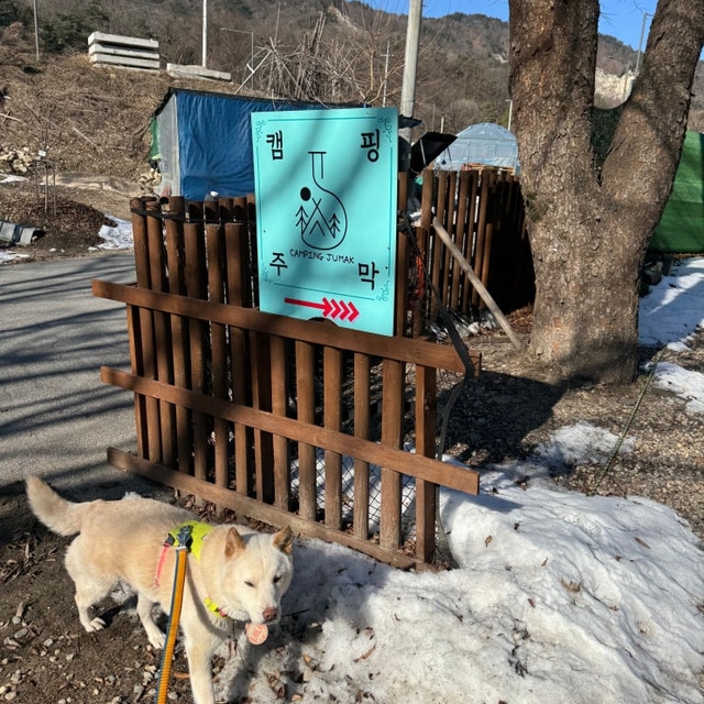 캠핑주막 대표 사진