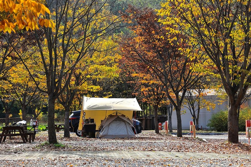 안성맞춤 캠핑장 시설 사진 6