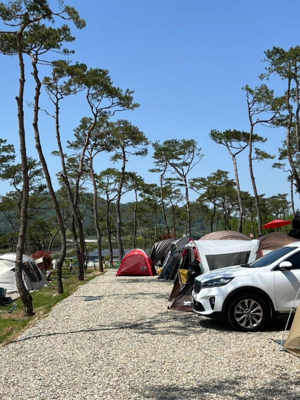 장성 청솔캠핑장