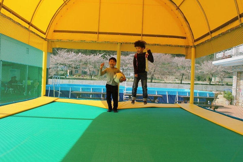 소나무 풍경 펜션 야영장 시설 사진 4