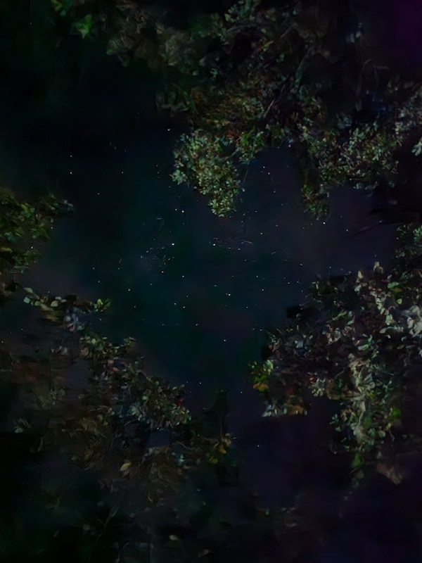 강원도 양양 법수치오토캠핑장 | 2025 여름캠핑 대성공...