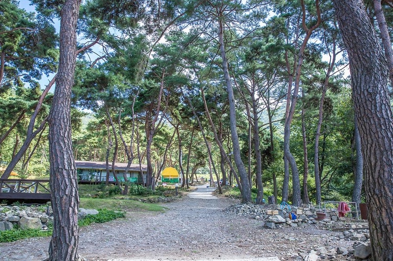 솔베이캠핑장 시설 사진 16