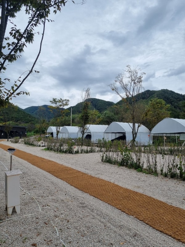 깨끗한 연천 캠핑장 캠핑7604