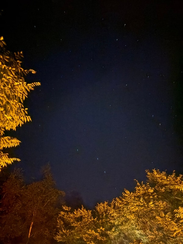 [강원도 평창] 올해도 또 흥정계곡 캠핑700, 별천지