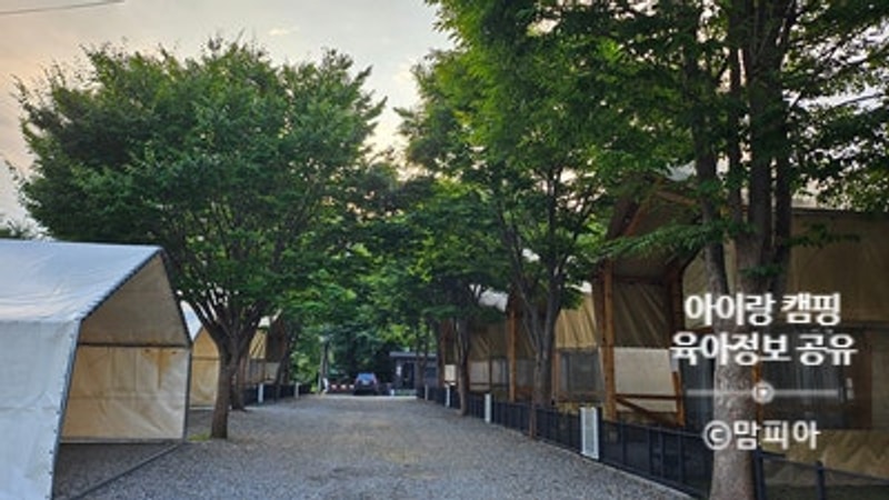 [경기도 가평 하이몽 글램핑&캠핑장] (구 잣향기푸른숲) 애견...