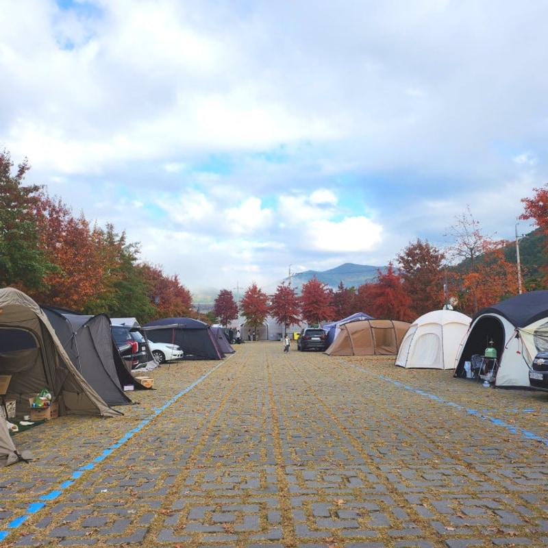 청도 신화랑풍류마을 오토캠핑장 20번 가을 캠핑
