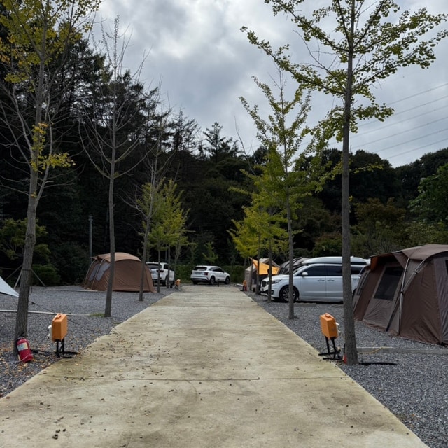 맑을 청 대표 사진