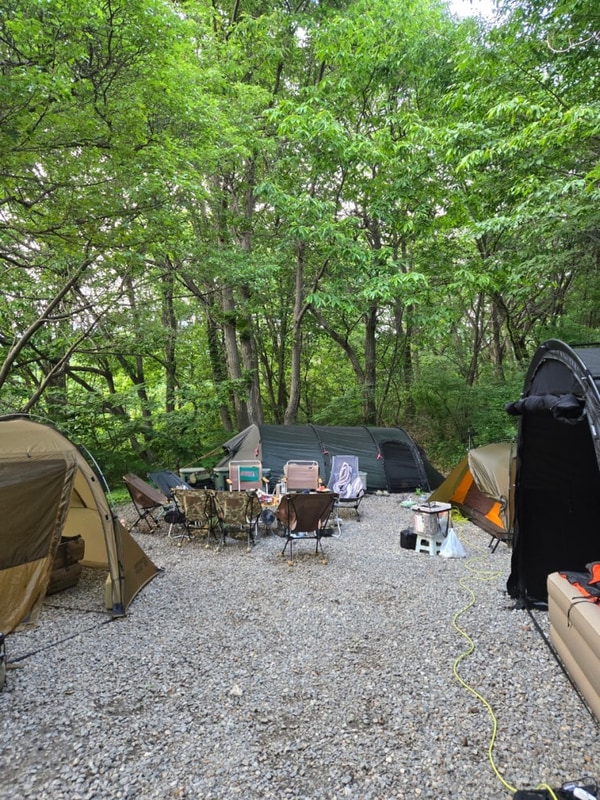 [캠핑]양주캠프리카캠핑장 단독더블A존 다녀온 후기,그늘많고...