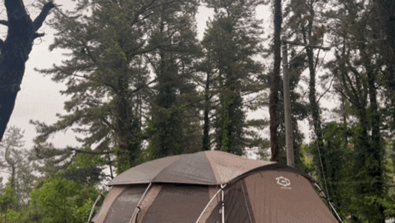캠핑의 낭만, 제주 애월 캠핑스토리에서의 우행시
