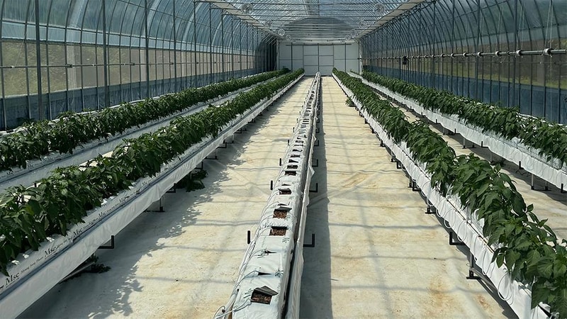 캠프운악Hi 시설 사진 10