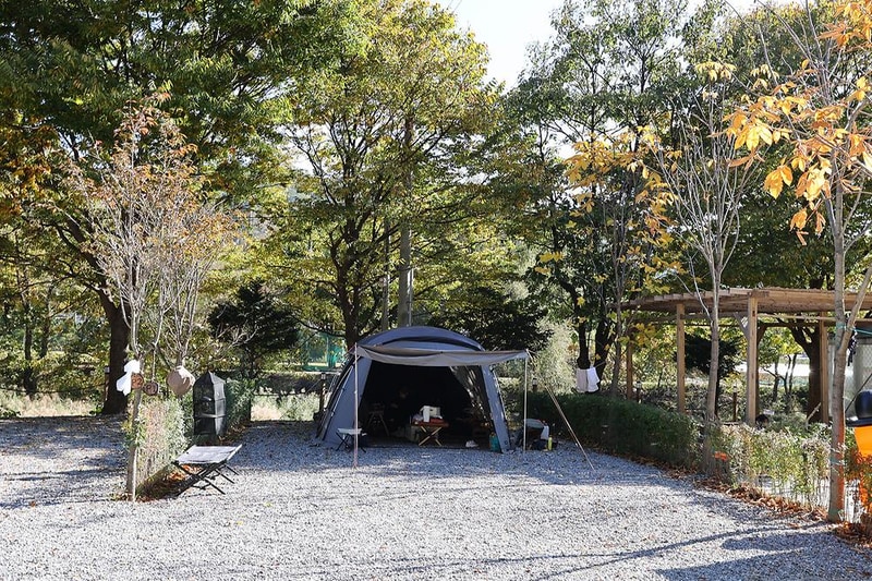 캠프99 시설 사진 14