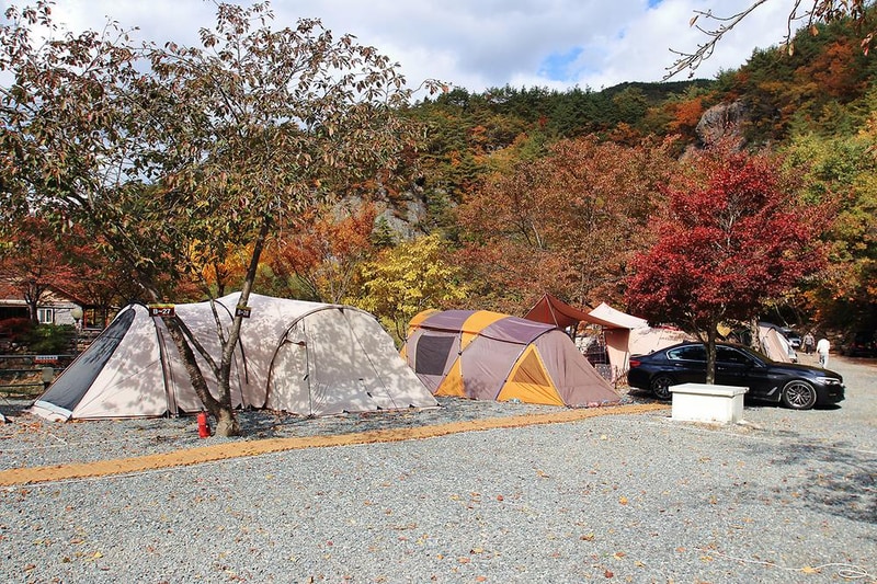 그린하우스캠핑장 시설 사진 19