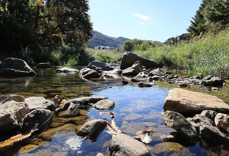 포도밸리 캠핑장 시설 사진 6