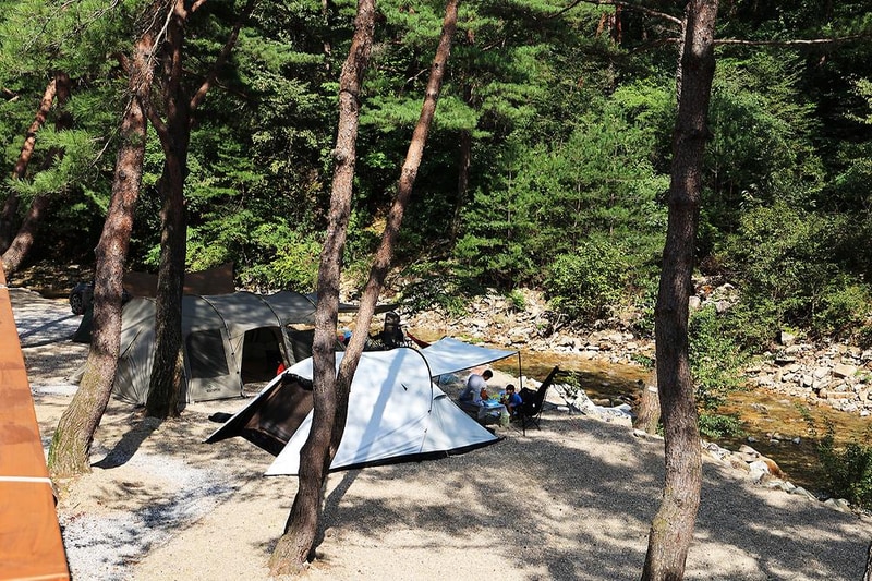 캠프 오어즈 시설 사진 14