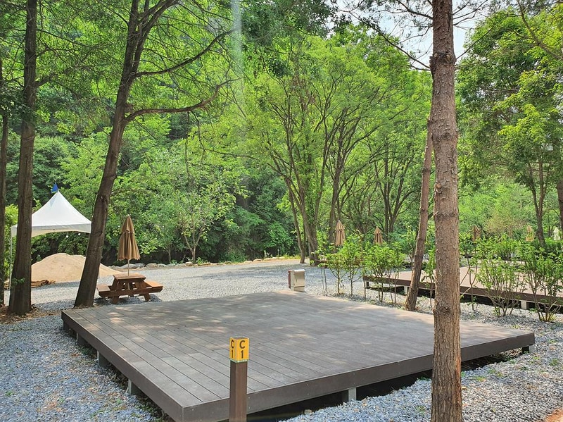 포레스트힐링캠프 시설 사진 33