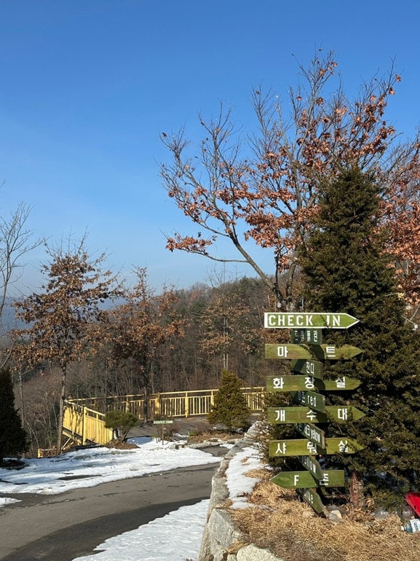 2박 3일 춘천 스칼라 캠프장, 동계 캠핑 먹방:)