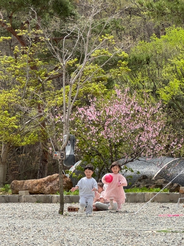 [천안 위례성캠핑장]  세돌아가들의 생일캠 / 우중캠...