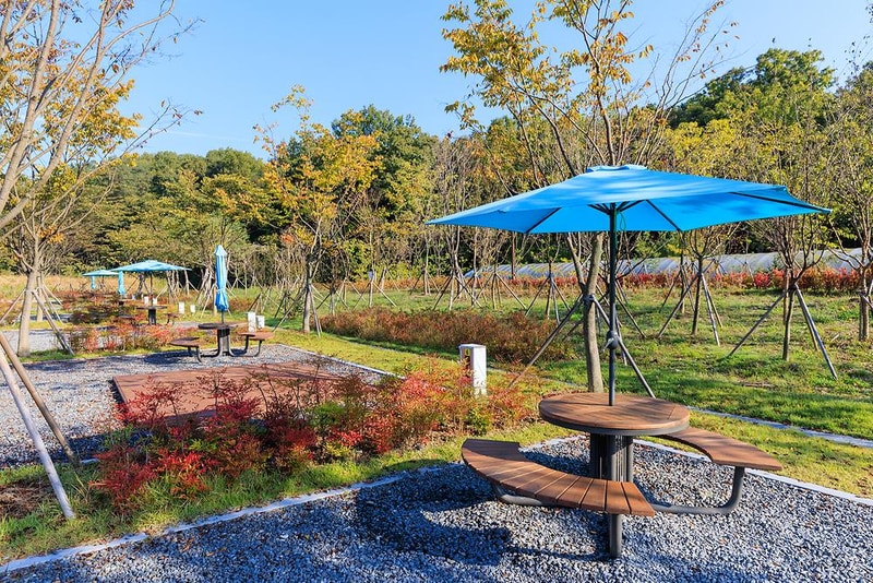 하기숲 가족캠핑장 시설 사진 6