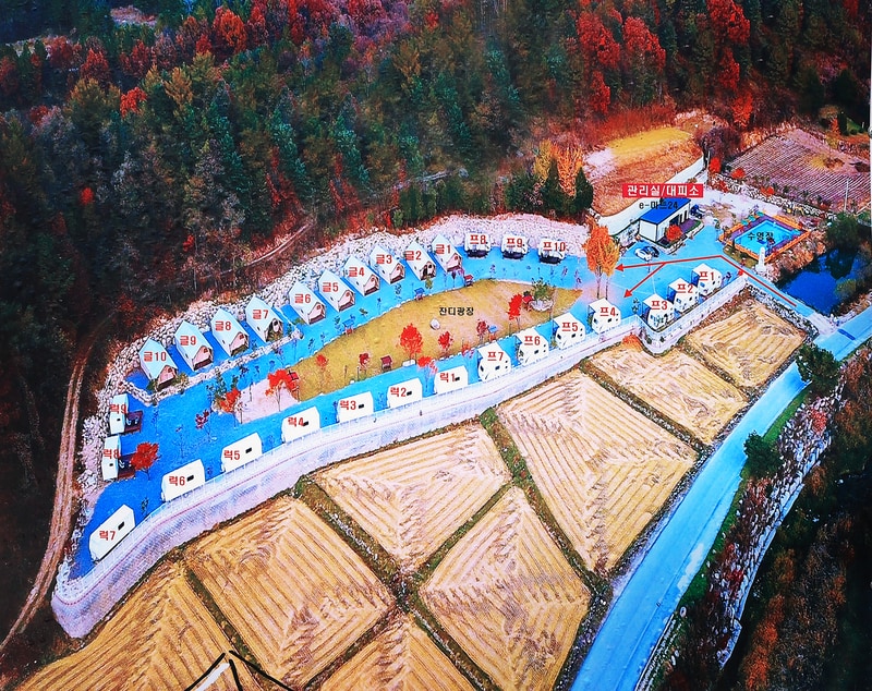 더존 관광농원 배치도 1