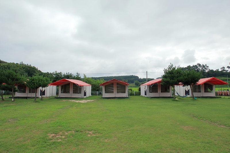 파라독스 애견펜션 / 돔글램핑&오토캠핑장 시설 사진 12