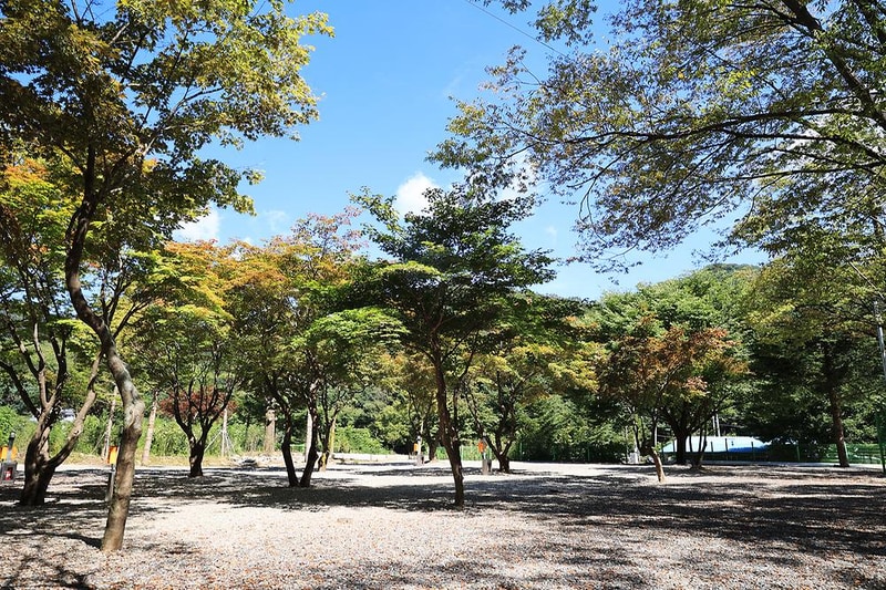 보물나라캠프 시설 사진 2