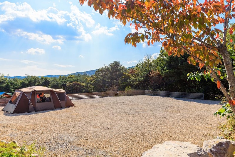 비손관광농원 야영장 시설 사진 12