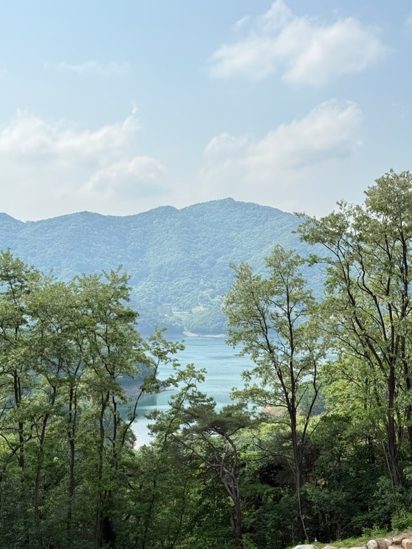 ️ 제천 스테이아웃 ㅣ 1박 2일 캠핑 추천 (feat. 신상과자들)