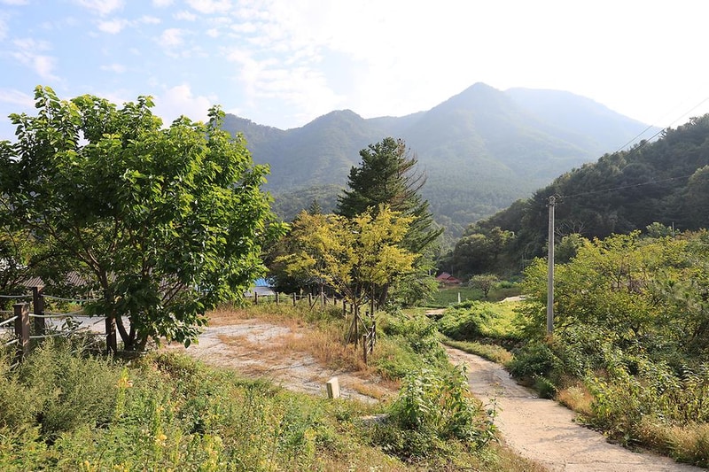 산대분교공공캠핑장 시설 사진 1