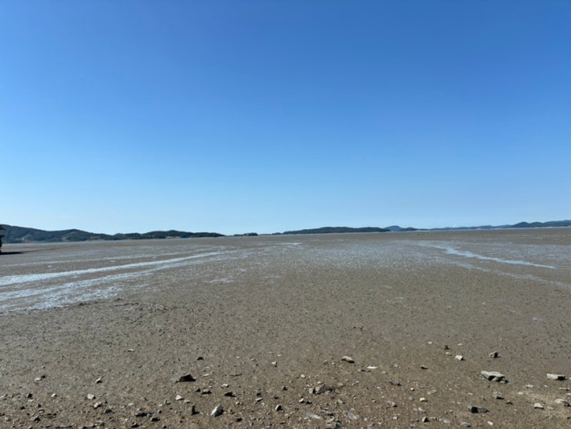 갯벌과 바다, 그리고 캠핑의 조합!   팔봉갯벌체험야영장 리뷰