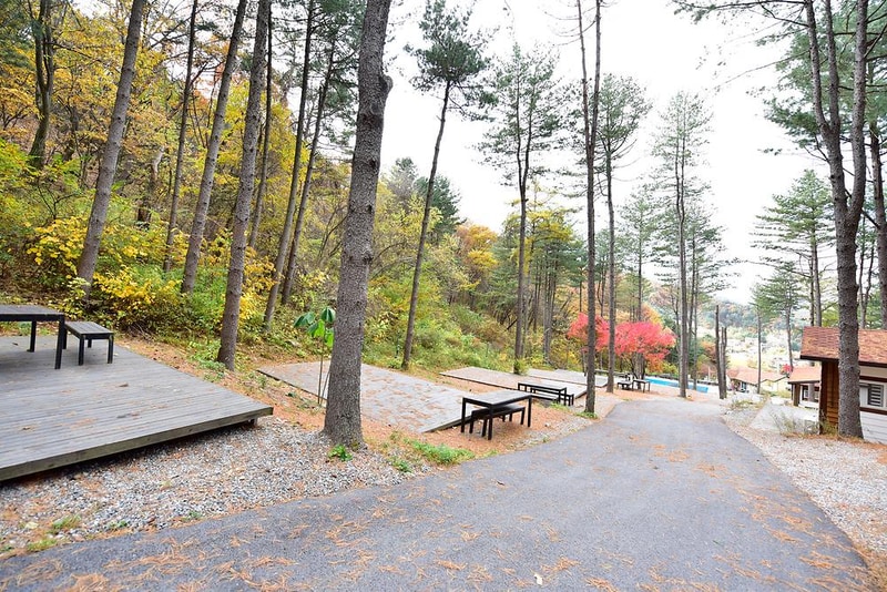 유명산힐링캠프 시설 사진 18