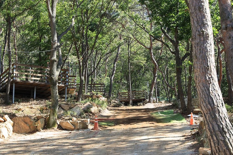 강화도 아침 숲속야영장 시설 사진 1