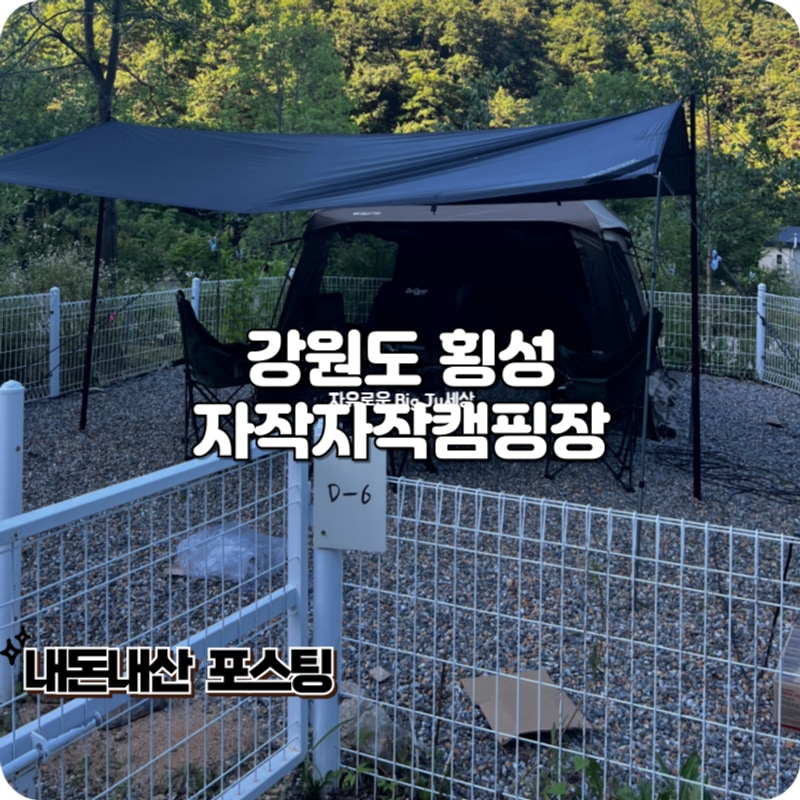 횡성 캠핑장 가족 지인 함께 계곡캠 자작자작캠핑장 우당탕탕...