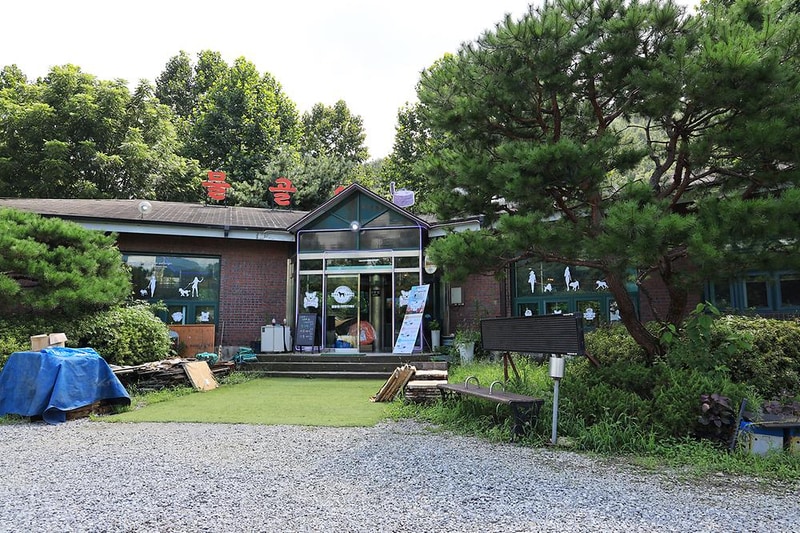 물동네 힐링 야영장 시설 사진 5