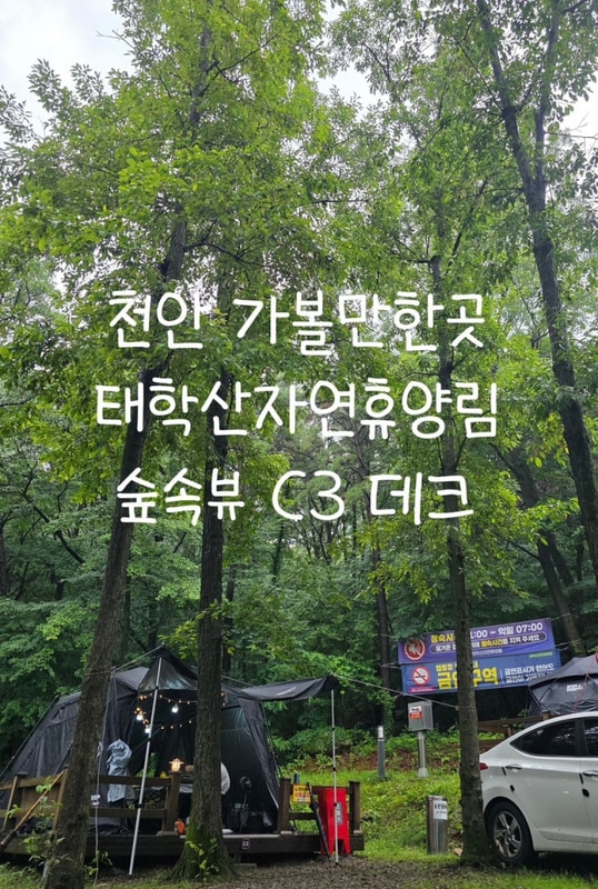 [충남 천안] 태학산 자연휴양림 오토캠핑 C3 이용 후기