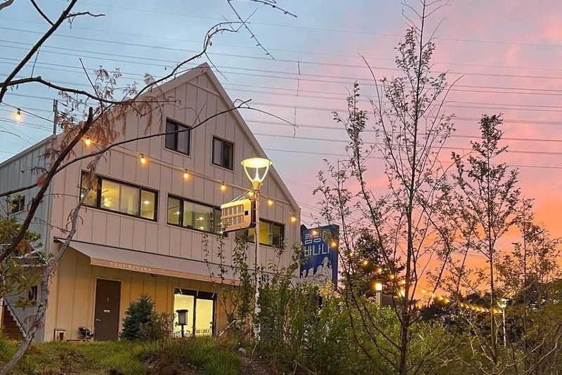 캠핑에 바나나 시설 사진 7